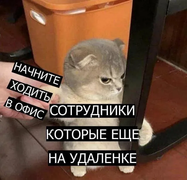 Российским удалёнщикам грозит увольнение из-за проблем с интернетом