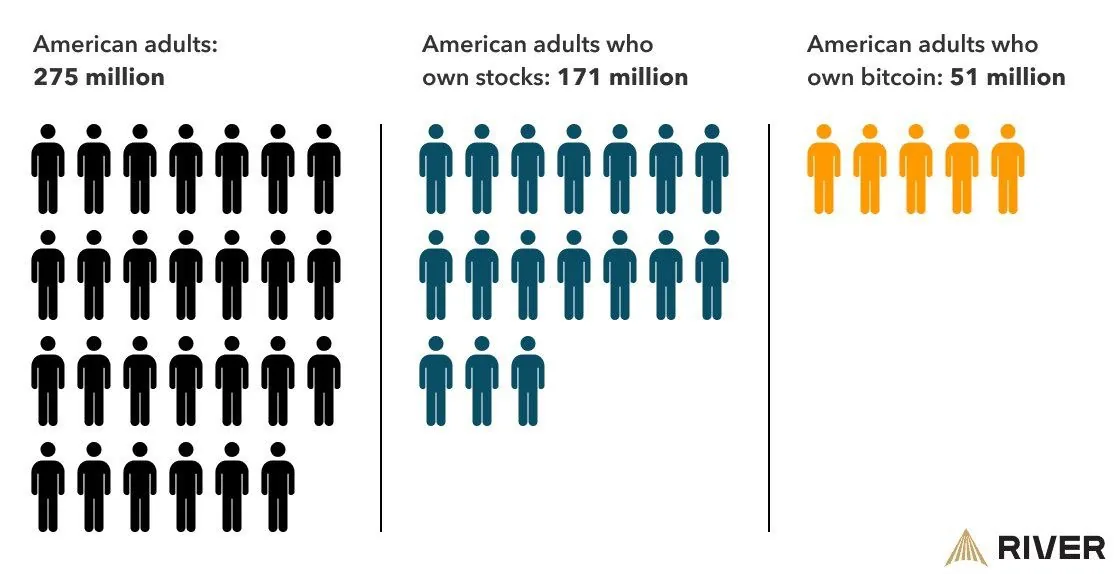Каждый пятый житель США владеет биткоинами, данные River показывают