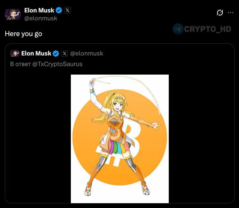 Возможность интеграции криптоплатежей в X Money обсуждается после заявлений Илона Маска о Биткоине