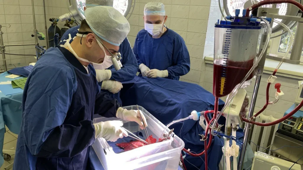 Российские учёные исследуют берберин как защиту сердца при химиотерапии