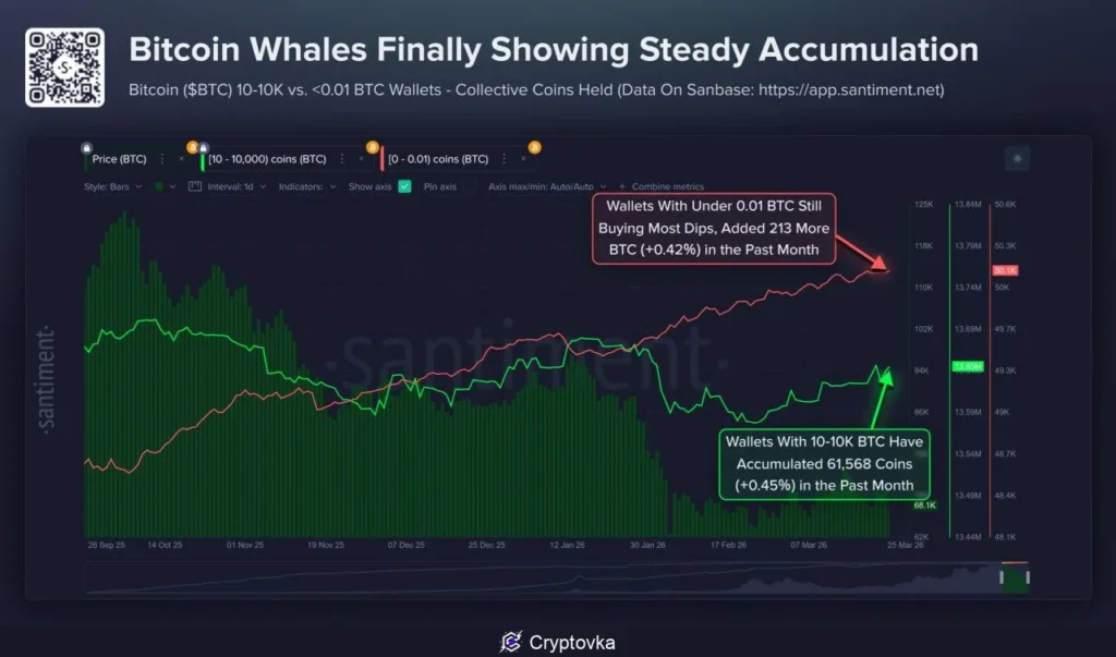 Аналитики Santiment: крупные инвесторы продолжают накапливать биткоин несмотря на снижение курса