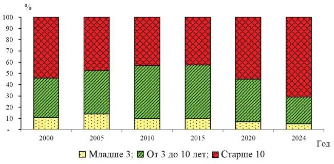Эксперты предупреждают о росте доли старых автомобилей в России к 2030 году