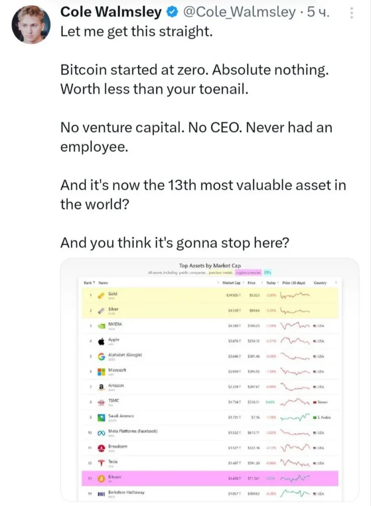 Почему биткоин не считается переоценённым активом, несмотря на рост капитализации