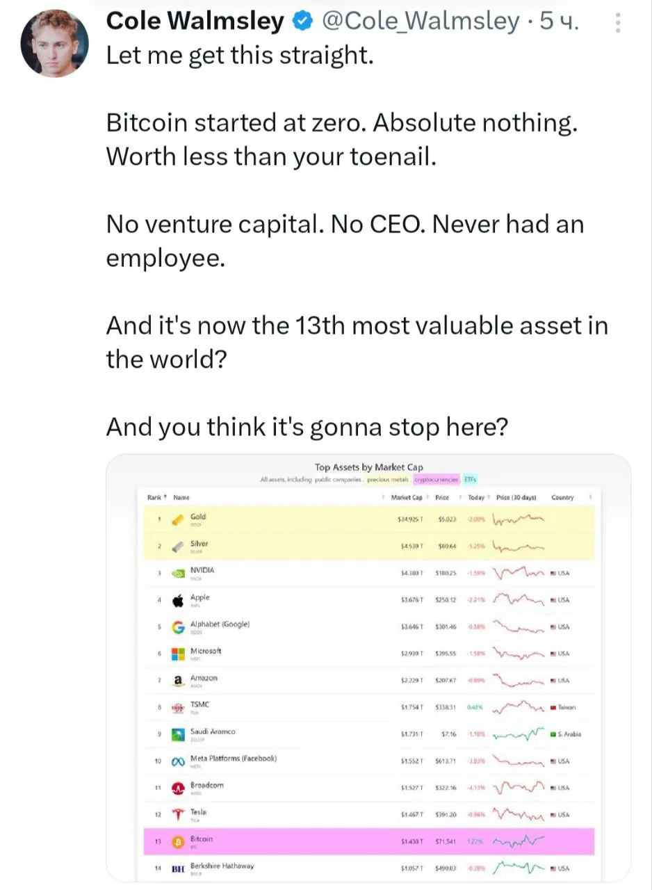 Почему биткоин не считается переоценённым активом, несмотря на рост капитализации