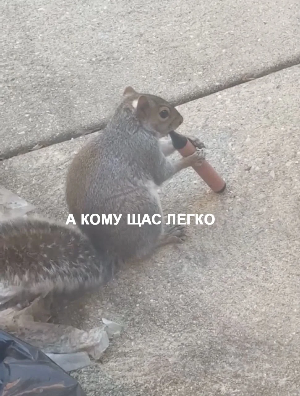 В Лондоне зафиксированы случаи зависимости белок от электронных сигарет