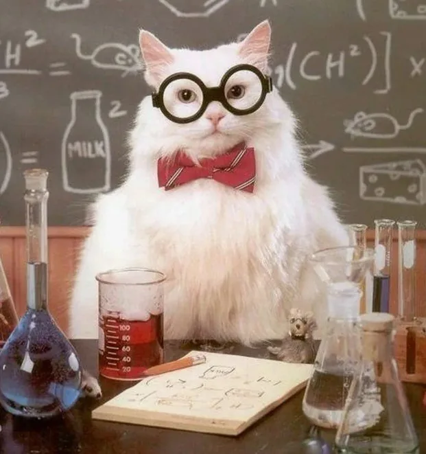 Учёные из Мичиганского университета обвинили перчатки в загрязнении образцов микропластиком