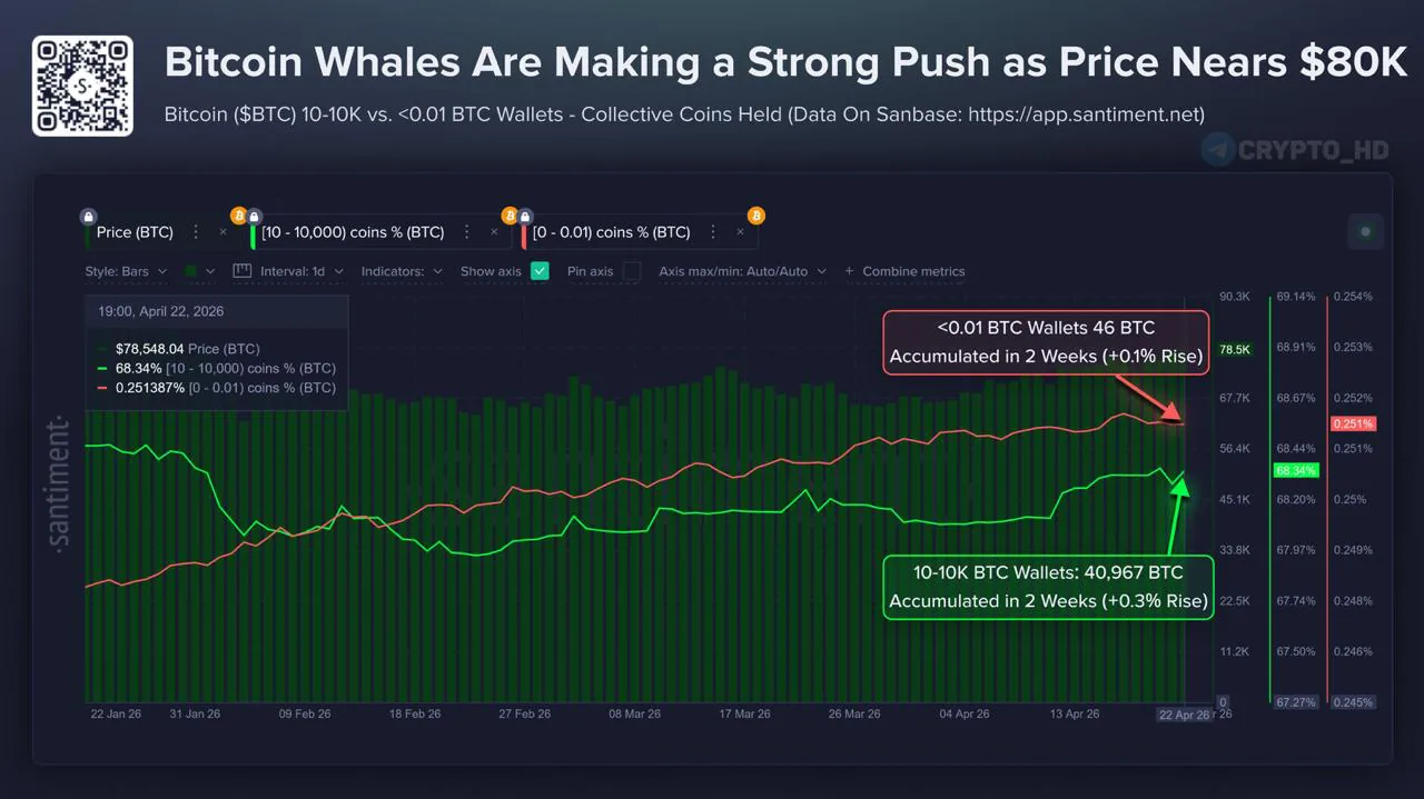 Крупные держатели биткоина увеличили запасы на $3,2 млрд за две недели — Santiment