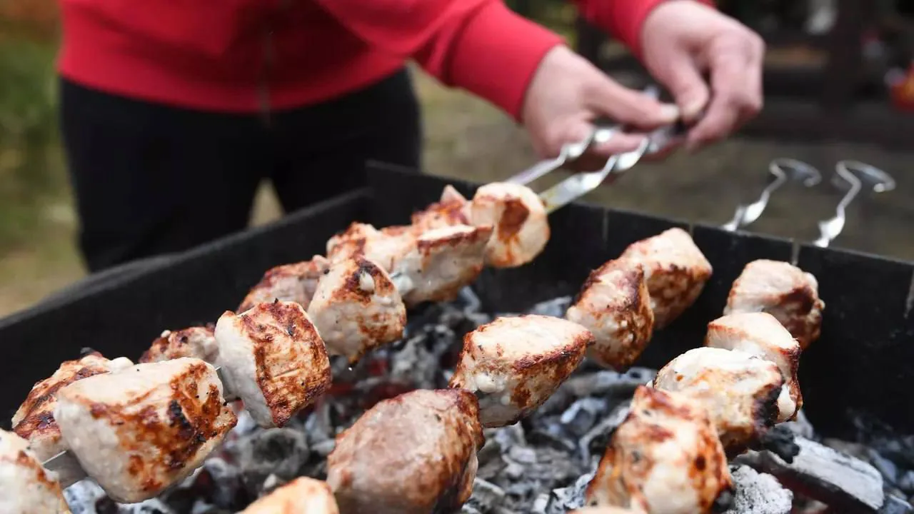 На дачах ужесточат правила разжигания мангалов: новые штрафы за нарушения