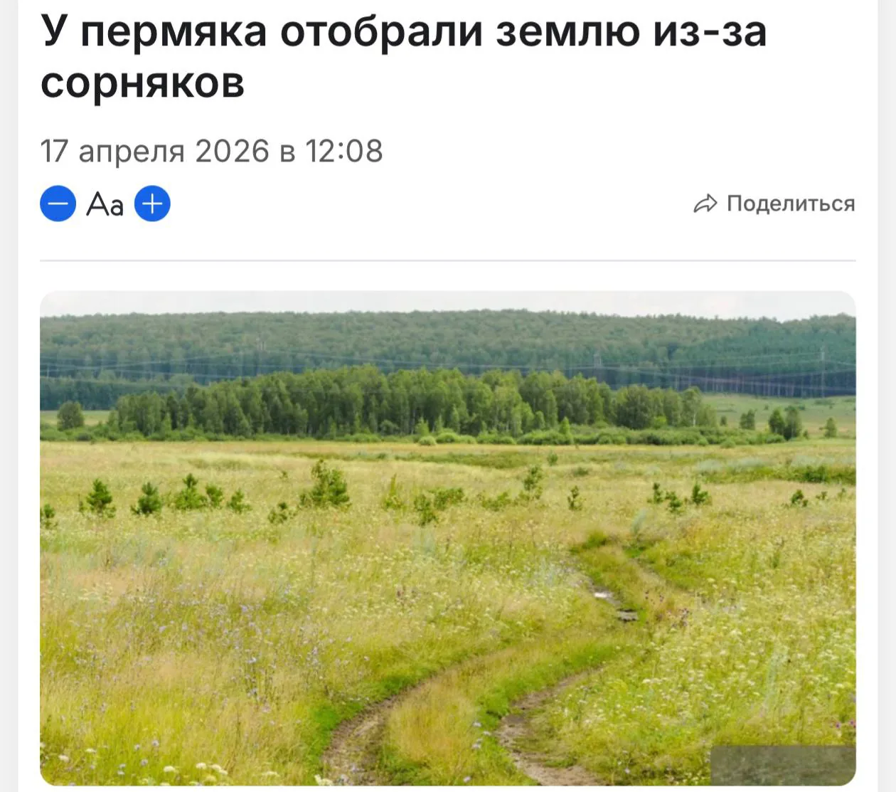 В Пермском крае суд изъял 9 гектаров сельскохозяйственных земель из-за неиспользования и зарастания сорняками