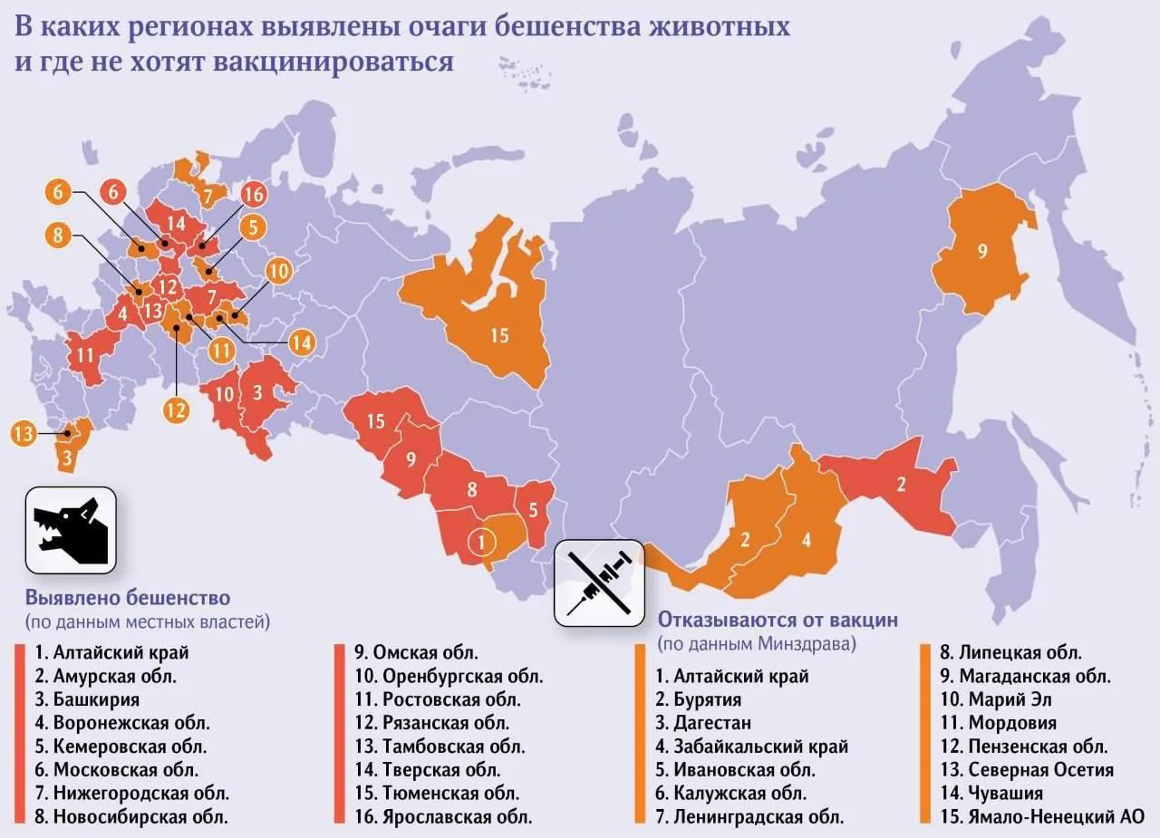 В 16 регионах России зафиксированы случаи бешенства — данные СМИ