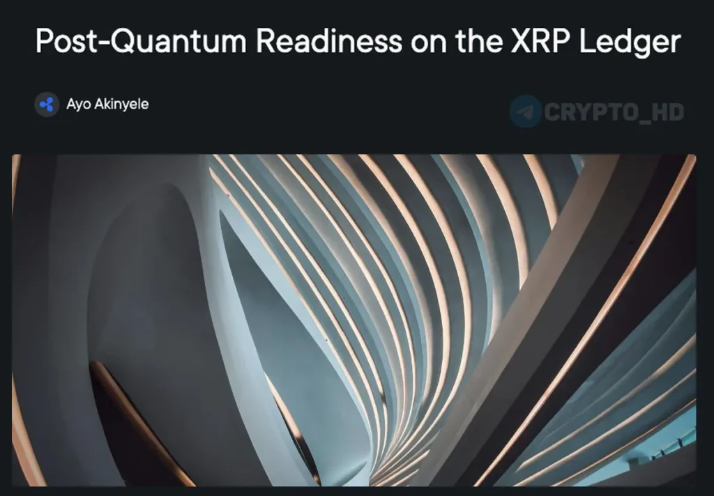 Ripple анонсировал план перехода XRP Ledger на квантово-устойчивую криптографию к 2028 году