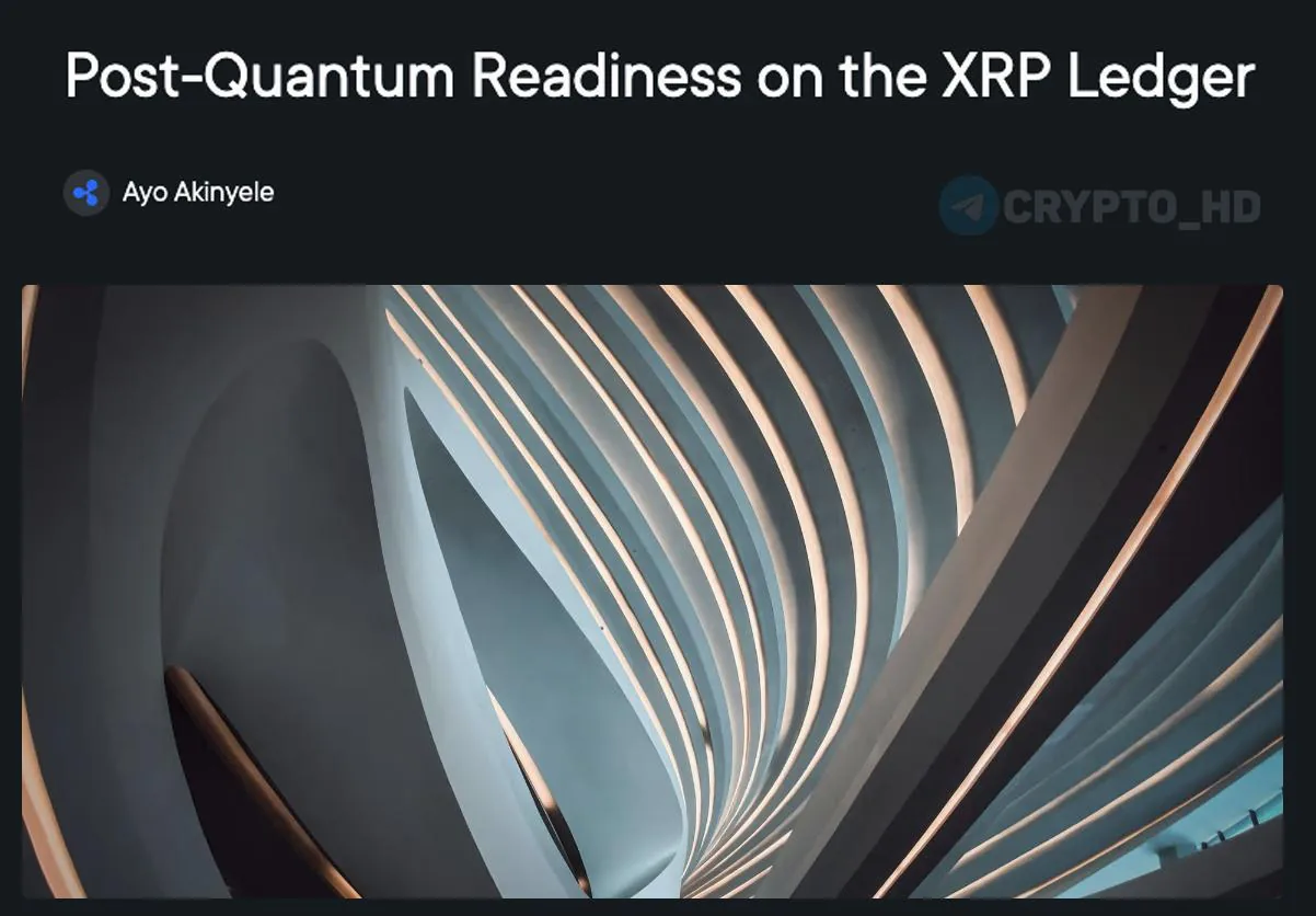 Ripple анонсировал план перехода XRP Ledger на квантово-устойчивую криптографию к 2028 году