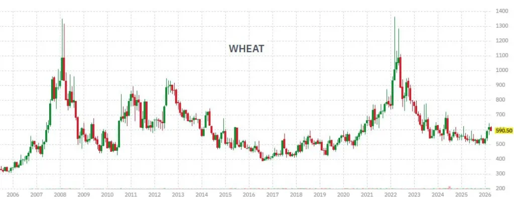 Хедж-фонды впервые за четыре года открыли чистый лонг по пшенице на фоне геополитических и погодных рисков