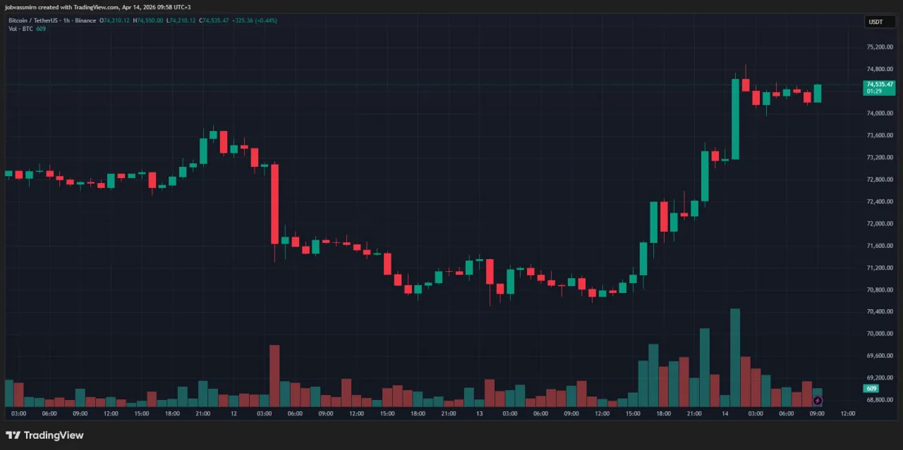 Биткоин преодолел отметку $74 000 на фоне массовых ликвидаций коротких позиций