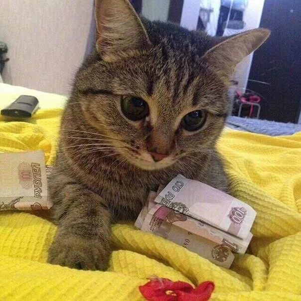 Таможенные пошлины на товары из недружественных стран через страны ЕАЭС выросли до 50%