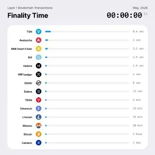 TON вырос на 35% за сутки и обогнал по капитализации Chainlink и Monero