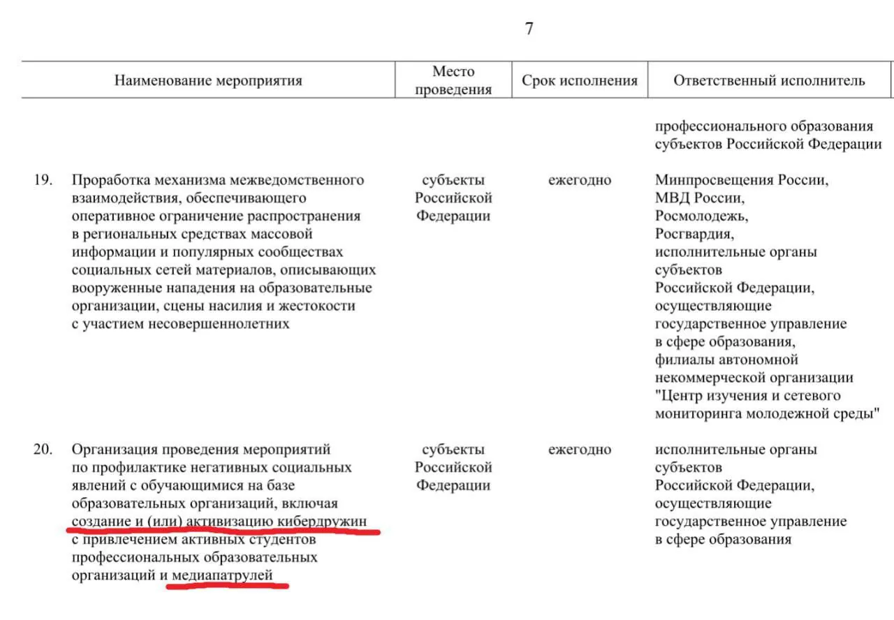 Правительство РФ анонсировало создание кибердружин и медиапатрулей до 2030 года
