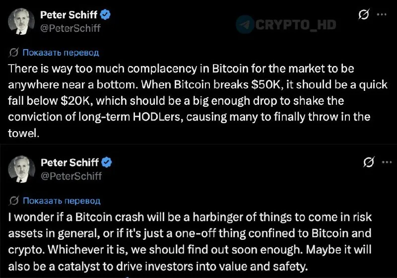 Эксперт Питер Шифф предсказывает падение биткоина ниже $20 000 при пробитии $50 000