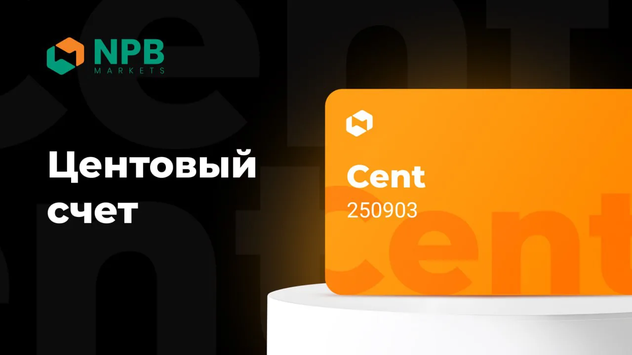В NPB Markets представлен центовый счёт для начинающих и опытных трейдеров