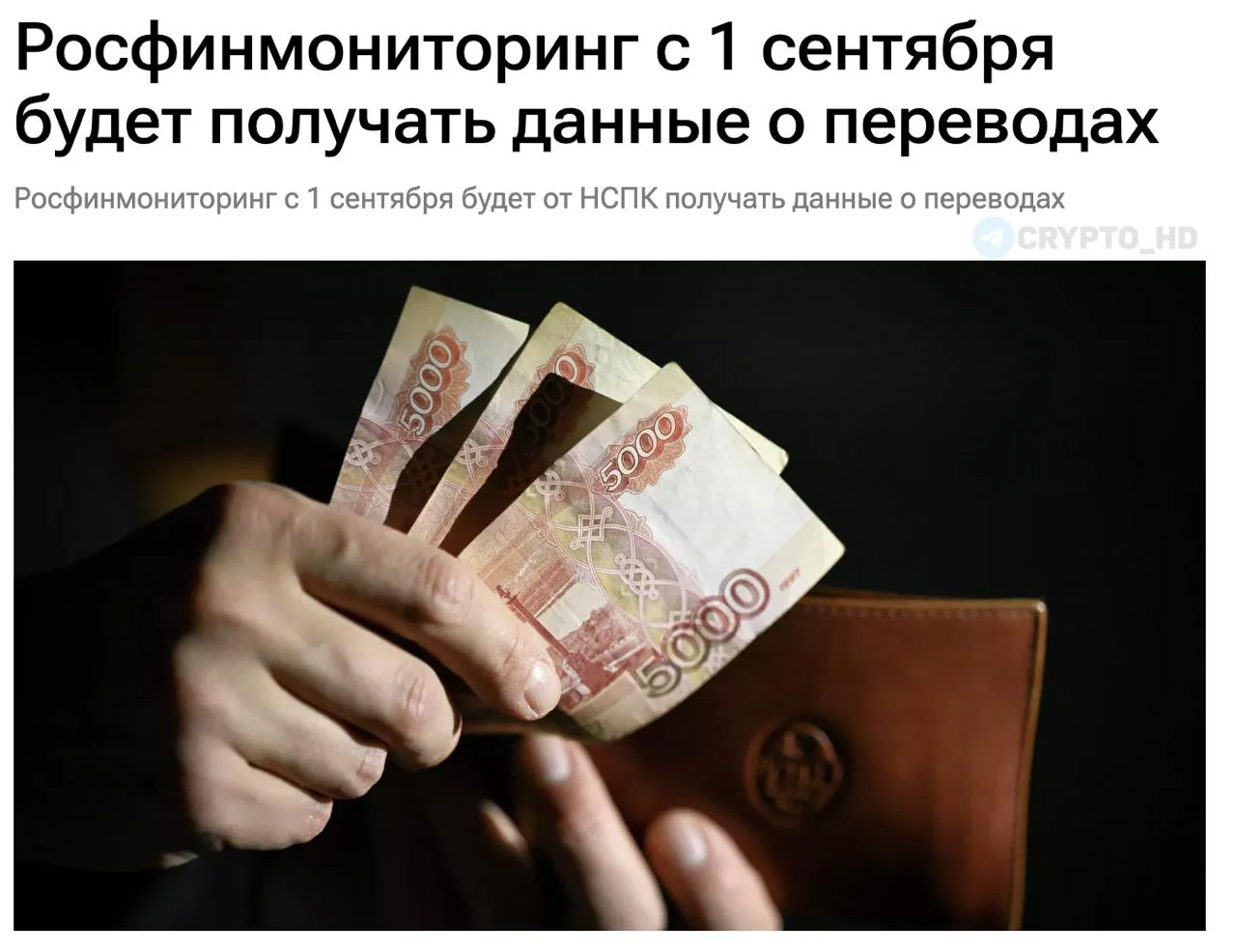 Росфинмониторинг получит доступ к данным платежных систем «Мир» и СБП для борьбы с отмыванием доходов